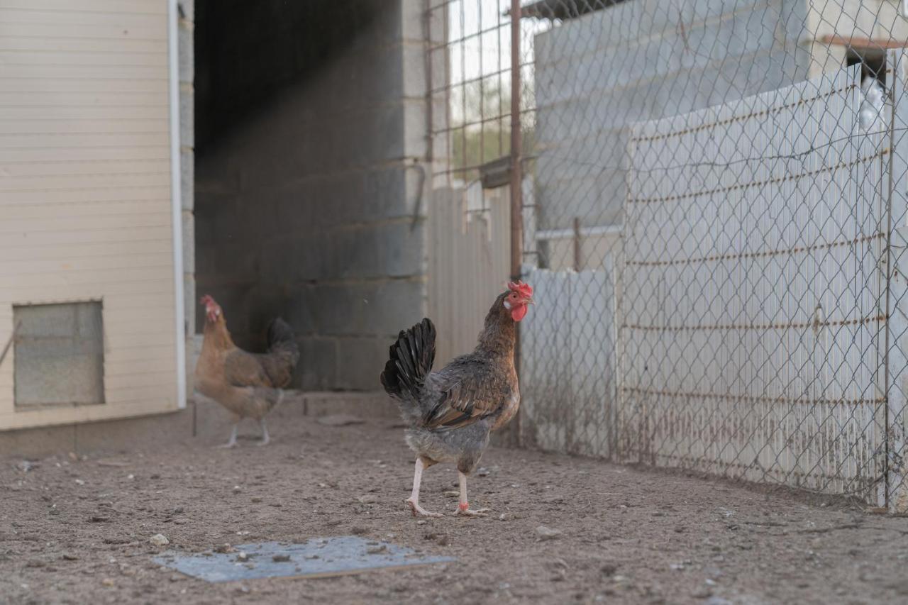Alojamiento Rural Junto A Via Verde Olvera Kültér fotó